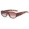 Nuevas gafas de sol transfronterizas europeas y americanas para mujer, de alta calidad, de moda, ovaladas, resistentes a los rayos UV, gafas de sol retro para hombre.