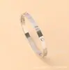 Pulsera de Acero de Titanio de Diez Diamantes de Moda Transfronteriza para Mujer, Pulsera de Acero Inoxidable Totalmente Incrustada, Joyería al por Mayor con Incrustaciones Completas de Diamantes
