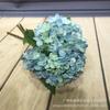Conjunto de casamento de hortênsia de simulação de hortênsia Flor de seda Arco de flor de estrada Decoração de casa Flor falsa