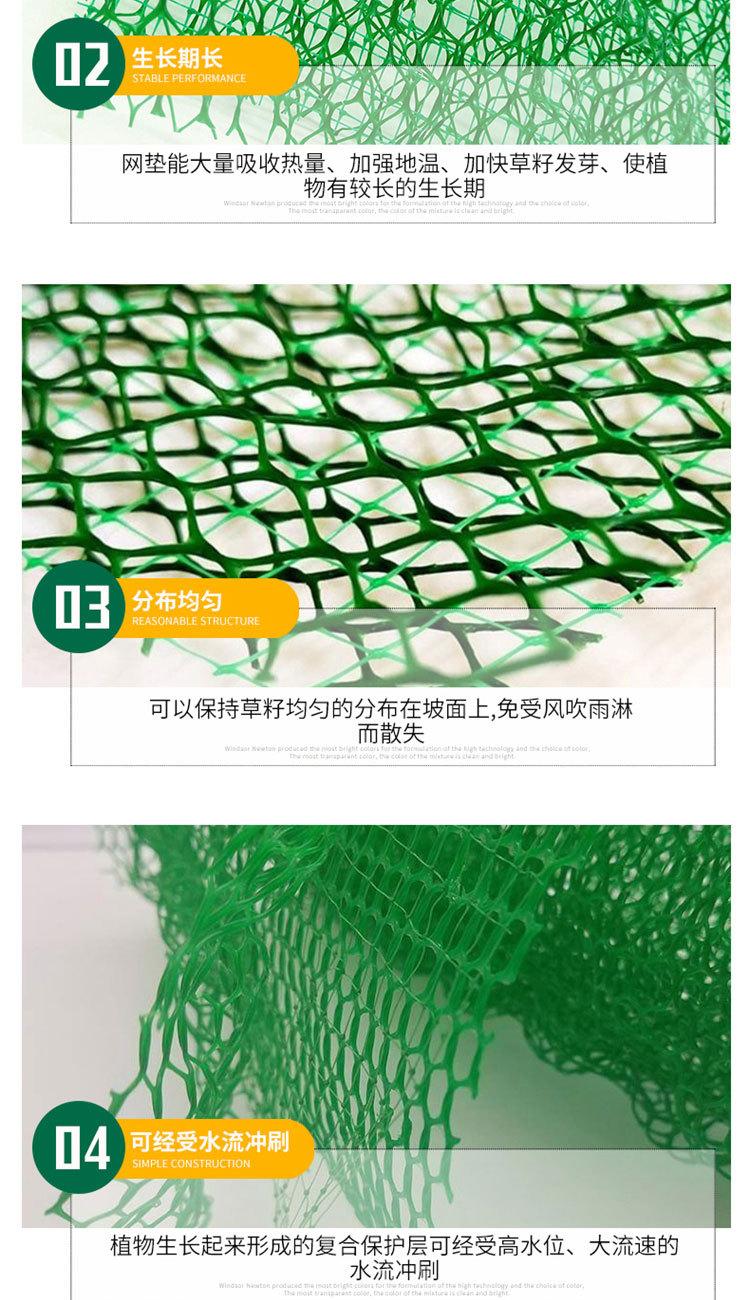 三维植被网_03.jpg