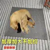 Esterilla para Mascotas, Resistente al Desgaste, Adecuada para Todas las Estaciones, Engrosada y Resistente a las Manchas, Colchoneta Caliente para Dormir para Perros, Previene el Desgarro en Jaulas para Perros, Entrega Directa
