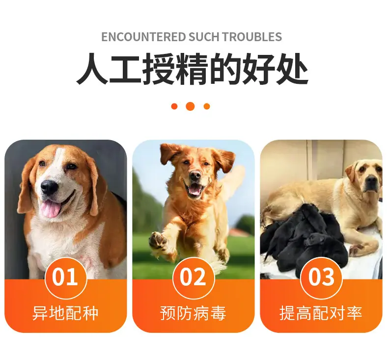 详情2_05.jpg