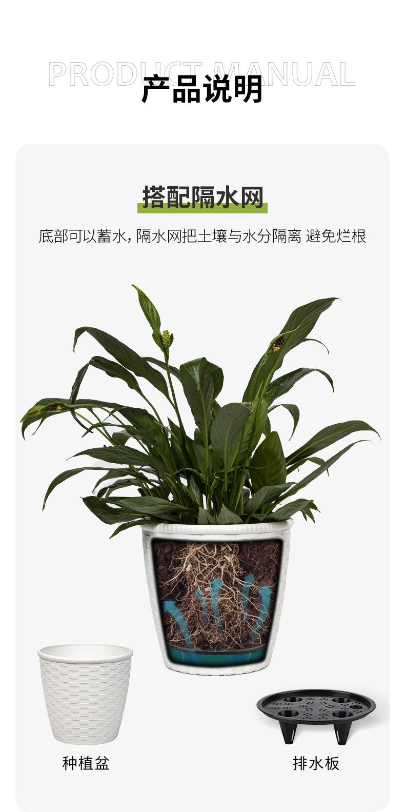 详情_04.jpg
