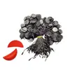 En stock cuerda de algodón encerado cabeza redonda bala cuadrada pequeña Corea del Sur poliéster encerado de alta gama de alta gama cuerda para colgar ropa cuerda para colgar cordón