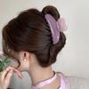 Presilha de Cabelo Leve Colorida Estilo Ins Feminino Presilha de Cabelo para Cabeça em Acrílico Acessórios de Cabelo de Alta Qualidade Versáteis Luxo Leve