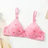 Venta Directa de Fábrica Comercio Exterior Transfronterizo Ropa Interior Femenina Estampada Delgada Hebilla de Dos Filas Sin Aros Sujetador Push-Up Cómodo