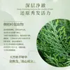 Guangzhou Baiyunshan Jingxiutang Herbal Anti-Quebra Cuidado Capilar Shampoo Suavizante Personalizado Oem Processamento Oem