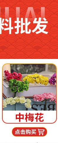 小鸟详情_01_02_04