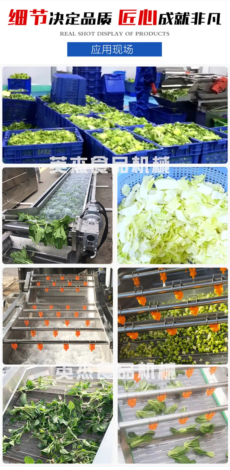 英杰气泡清洗机800-恒泰互联_06.jpg