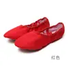 Venta al por mayor de fábrica zapatos de baile para mujer niños suela blanda zapatos de ballet zapatos de baile para adulto práctica básica de yoga zapatos de garra de gato