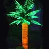 Lâmpada LED Paisagem Coqueiro Luz Palmeira Tema Internacional Sonho Luz Festival Decoração Tema Série Árvore Lâmpada