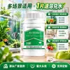 Tabletes Desinfetantes de Dióxido de Cloro 100g Limpeza de Água Potável Hospitalar Frutas e Vegetais Utensílios Cuidado com Flores Tabletes Efervescentes Contendo Cloro