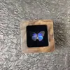 Espécime de Borboleta Real Feito à Mão Presente de Nicho Caixa Quadrada Pequena de Nogueira Caixa para Anel Presente de Aniversário Retrô Presente para Casal