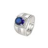 Anel Masculino de Zircônia Micro-incrustada Oval Cristal Azul Amazon Negócios Transfronteiriços Anel de Dedo de Safira Joia