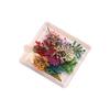 Manicura Monet Flor Seca Estilo Japonés Fresco Gestapa Girasol Mixto Flor Real Pequeña Caja de Uñas Floral Decoración