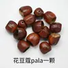 Cardamomo Flor Pala Fruta Importada Cáscara de Fruta Carrillón de Viento Material DIY Familia de Frutas Hecho a Mano Hecho a Mano Cáscara de Fruta Campana Terapia de Sonido
