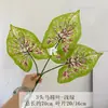 Ramo de Plantas Artificiales con Hojas de Anturio de 3 Hojas y Hojas de Caladio para Decoración del Hogar, Hojas de Taro de Tacto Realista, Pared de Fondo de Plantas Verdes
