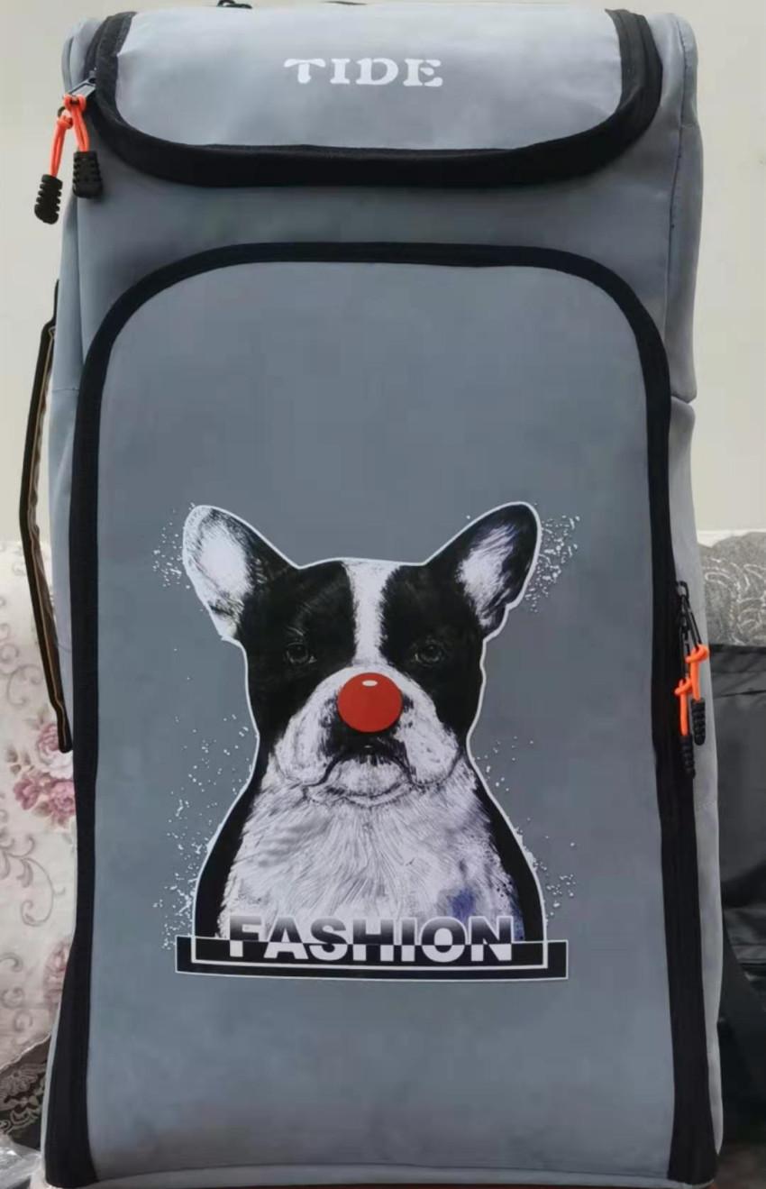 54CEE1434678556D1C6180F2E3240B