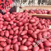 Nuevos Cacahuetes de Piel Roja 2024 Paquete de 2.5 kg Sabor Original Cuatro Cacahuetes Crudos Rojos con Cáscara Cacahuetes de Piel Roja a Granel