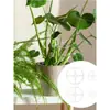 Suporte de Fixação para Raiz e Caule de Plantas em Acrílico Haste de Suporte Antiatravesamento para Monstera Deliciosa e Spathiphyllum Fixador para Plantas Verdes Suporte Retrátil