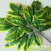 Hojas Simuladas, Hojas Falsas, Ramas Simuladas, Ramas Falsas, Hojas Verdes, Hojas de Higuera Benjamina, Ginkgo Amarillo, Hojas de Mango, Ramas de Higuera Benjamina