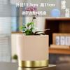 Vaso de Flores Cerâmico Estilo Ins Nórdico fosco simples para interior Phalaenopsis tulipa verde vaso grande para plantas verdes