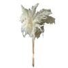 Ramo de flores secas de caña pequeña, venta al por mayor transfronteriza, cola de conejo de caña blanca, adornos de hierba de pampa decorativa, hierba de caña