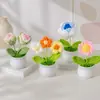 Ramo Pequeño de Punto Transfronterizo en Maceta Regalo para el Día del Maestro Producto Terminado Hilo Girasol Flor Artificial Decoración de Escritorio