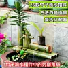 2025 Nuevo Modelo Fuente de Agua de Bambú Acuario Filtro de Circulación de Agua Humidificador Oxigenador para Riqueza y Decoración de Jardín