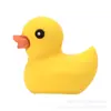 Amuletos y Decoraciones para Zapatos con Temática de Animales 3D Transfronterizos, Populares en Xiaohongshu, Accesorios para Zapatos del Mundo Animal de Alta Venta