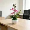 3 Fatias de Bexiga de Peixe Simulação Orquídea Phalaenopsis Bonsai Vaso Liso com Ondas de Água Flor Artificial Enfeite Fotografia de Interior Planta Verde Planta em Vaso
