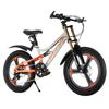 Bicicleta de Montaña para Niños Ciclismo Bicicleta de Carretera Doble Amortiguación Bicicleta de Ciclismo para Hombres y Mujeres Misma Bicicleta Bicicleta de Ciclismo para Estudiantes