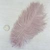 Accesorios de plumas de avestruz de varilla fina de 20 a 25 cm, accesorios para prendas de vestir, accesorios de plumas naturales, coloridos