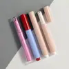 Materiais de Embalagem para Caneta de Batom Tipo Pressionar em Estoque, Caneta de Gloss Labial Sólido, Tubos de Batom Vazios, Tubos de Batom Tipo Pressionar Populares para Vendas Transfronteiriças