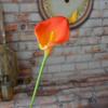 Ramo de Flor Artificial Lirio de Cala Tamaño Pequeño Gama Alta Flor Material Escena de Boda Adornos Decoración Sala de Estar Hogar Flores Falsas