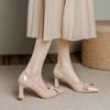 Estilo Nuevo 2026 Primavera y Otoño Punta Fina Moda Estilo Europeo y Americano Tacón Alto Grueso Versátil Poco Profundos Casuales Zapatos de Trabajo