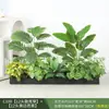 Paisagismo com Plantas Verdes Simulação Floreira Divisória de Piso Arte Floral de Chão Paisagem de Plantas Combinação de Floreira Flor Artificial em Vaso Bonsai Decoração