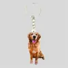 Llavero de Acrílico de Cachorro de Dibujos Animados Transfronterizo 2D para Vacaciones Colgante Plano para Actividad Regalo Pequeño Colgante Creativo para Mochila
