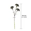 Milena Flor de Diente de León Flores Artificiales Fabricante Decoración del Hogar Ramo de Boda Pared de Flores de Rosa Flores Falsas INS Transfronterizo