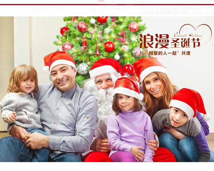 详情插图.jpg