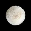 Dropshipping (un artículo) Múltiples opciones disponibles: Varillas de Ratán para Incienso de 5/6 cm, Flores Secas para Decoración del Hogar, Se Pueden Teñir