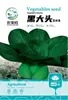 Semillas de Verduras Variadas para Otoño e Invierno, Semillas de Col China, Plántulas con Alta Tasa de Germinación, Nuevas Variedades de Colza Empresas Mayoristas