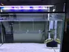 Caja de Aislamiento de 3 mm de Espesor para Incubación y Cría de Alevines de Acuario Acrílico Compartimentos Únicos Dobles Múltiples Envío desde Guangzhou Agujero de 2 mm
