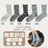 Calcetines de algodón sin costuras para otoño e invierno para mujer, calcetines largos de encaje gris azulados lindos, calcetines de algodón versátiles, calcetines largos estilo Miu