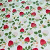 En Stock Estilo Japonés Fresa Fruta Pera de Nieve Empaque de Papel Papel Copiador Fabricante Venta al por Mayor Papel de Forro para Regalos Papel Separador de Color