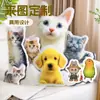 Regalo de Muñeco de Peluche Personalizado DIY con Forma de Mascota, Almohada de Peluche con Forma Personalizada para Cama o Sofá