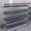 Jaula de Cría de Madera con Rodillo Automático para Huevos Jaula Doméstica para Codorniz, Vertical de Seis Niveles para Urogallo y Otros
