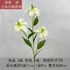 Plantas Verdes Artificiales, Hierba de Espárrago, Aspárago, Hierba del Aire, Pared de Flores para Bodas, Jardín de Monet, Decoración Suave, Paisajismo de Invierno, Arreglo Floral