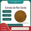 Extrato de mar gordo 10:1 peptídeo biológico em estoque fornecimento extrato de mar gordo pó de mar gordo