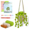 Paquete de Materiales de Crochet Más Vendido de Amazon Serie de Plantas Adornos de Flores en Maceta Regalos Soporte Dropshipping